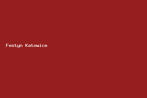 Festyn Rodzinny Katowice — Katowice
