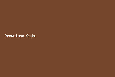Drewniane Cuda — Zakopane